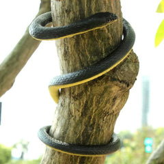 Soft Rubber Snake Prank Toy