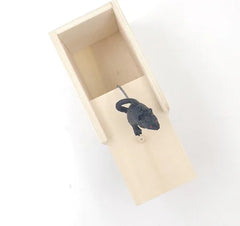 Prank Scare Box