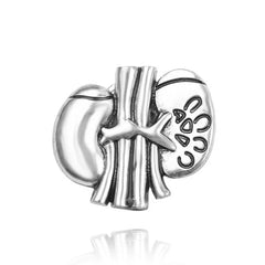 Medical Anatomy Kidney Vintage Pin