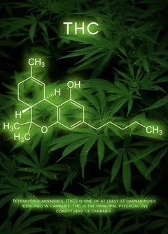 Cosmic Neon Drug Molecules Canvas Art
