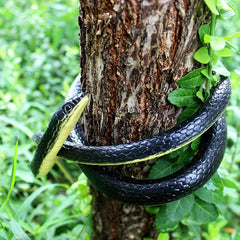 Soft Rubber Snake Prank Toy