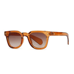 Classic Wayfarer Sunglasses