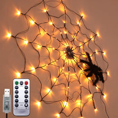 LED Spider Web Light